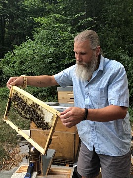 Naturwabenbau im Bienenvolk